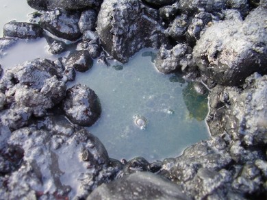 Bonifiche Ambientali Riccione